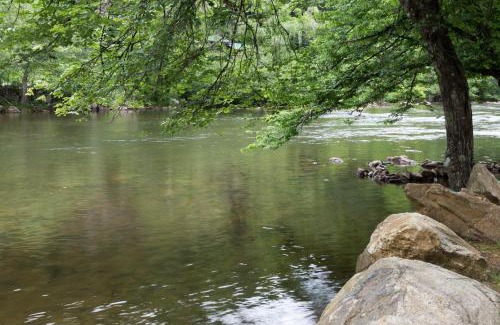 Sylva House | Above the River