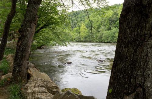 Sylva House | Above the River