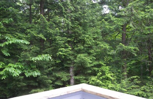Lincoln House | AC/FP, deck, swim club, near Loon, ski shuttle. V35MN by LRS