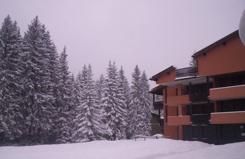 Madonna di Campiglio Apartment | Accogliente Appartamento in Affitto a Madonna di Campiglio per L'inverno 2024
