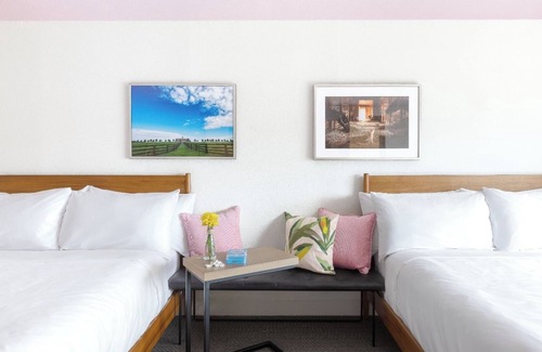 Lexington Hotel | Accommodation Right in the Heart of the City | Pets Are Allowed