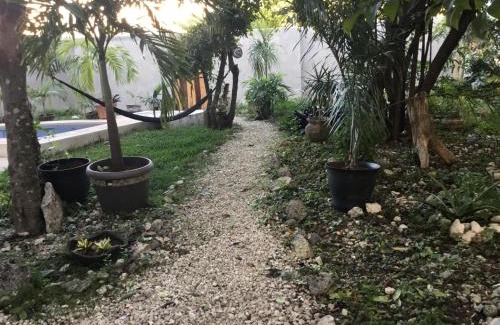 Colonia Maravilla House | Acogedora suite con bonito jardin