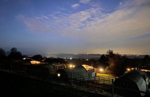 Dolphin Other | Acorns Luxury Glamping