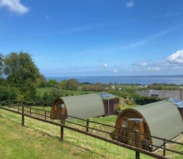 Dolphin Other | Acorns Luxury Glamping