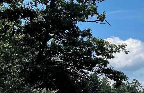 Lochmere House | Across from Lake Winnisquam/Close to Gunstock