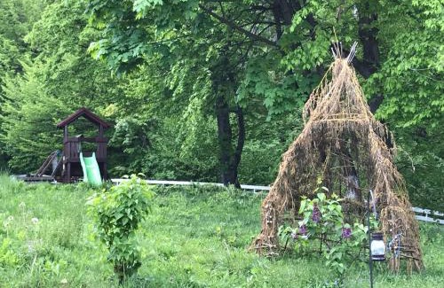 Dobreni Resort | Activ Parc