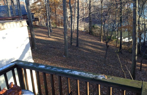 Glasgow Apartment | Activity all around! stay up in the trees, Take in the activity or just chilln