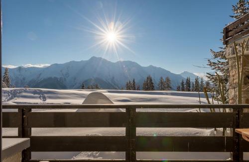 Riederalp Apartment | Adler Residenz 8