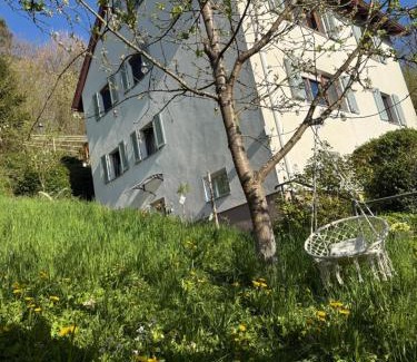 Waldshut-Tiengen House | Adlerhorst4