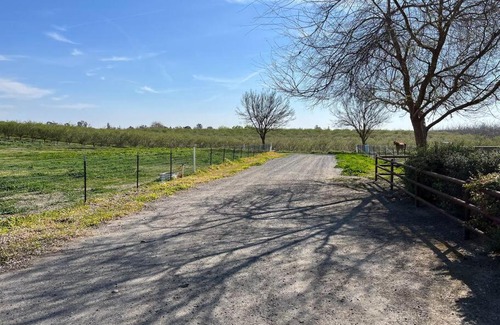 Peters House | Adorable 1 Bedroom with pool, and Horse Arena