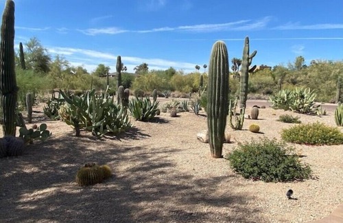 Fountain Hills House | Adorable Casita Pool, Spa, Desert Mountain Viewsn