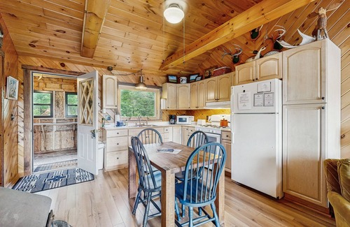 Greenville Cabin | Adorable Cottage on the Lake W/Shared Dock, Full Kitchen, Firepit, & Hiking