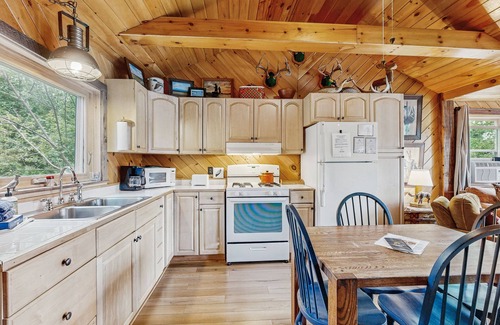 Greenville Cabin | Adorable Cottage on the Lake W/Shared Dock, Full Kitchen, Firepit, & Hiking