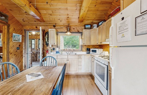 Greenville Cabin | Adorable Cottage on the Lake W/Shared Dock, Full Kitchen, Firepit, & Hiking