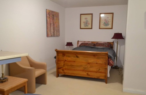 Surrey House | Adorable spacious basement suite