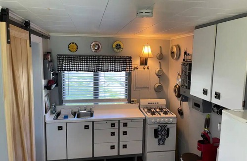 Ellicottville House | Adorable Tiny House in heart of Ellicottville - minutes to ski, walk to town