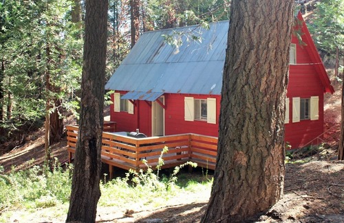 Alta Sierra Cabin | Affordable, Cozy and rustic Cabin in the Sequoia Nat'l Forest.