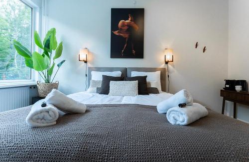 Municipality of Tilburg House | Affordable Private Room Near University Tilburg