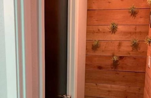 Downtown Apartment | Affordable Convenience Cozy Studio Sitting in Downtown of South San Francisco