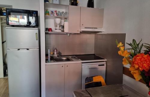 Saint-Sorlin-d'Arves Apartment | Agréable appartement de 6 pers au pieds des pistes ,wifi gratuit à Saint-Sorlin-d'Arves labelise 3 étoiles au gîte de France