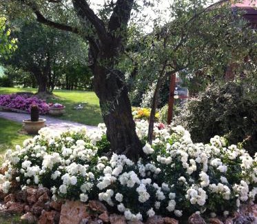 San Costanzo House | Agri Divin Amore