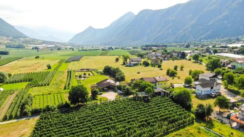 Barco Bed & Breakfast | Agritur Airone Bed & Camping