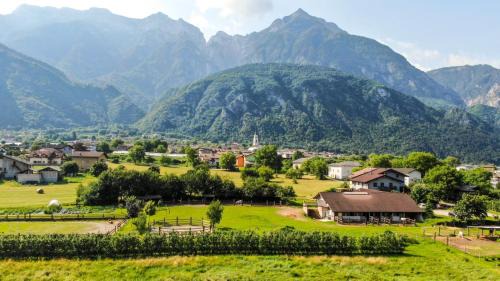 Barco Bed & Breakfast | Agritur Airone Bed & Camping