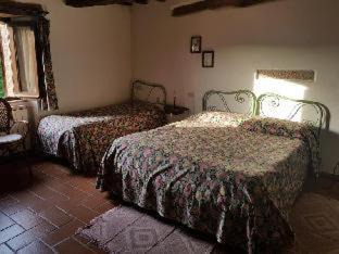 Arcidosso House | Agriturismo Bio I Rondinelli