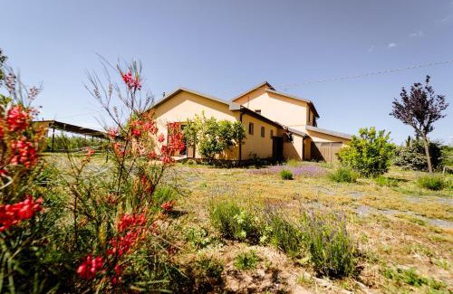 Grosseto House | Agriturismo Bio Podere 109 - Wine&Food