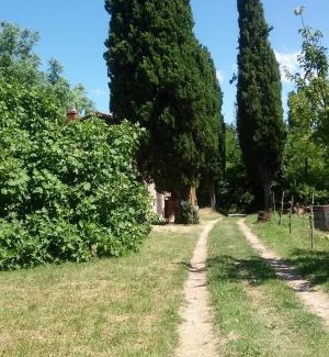 Muggia House | Agriturismo Bosco Fiorito