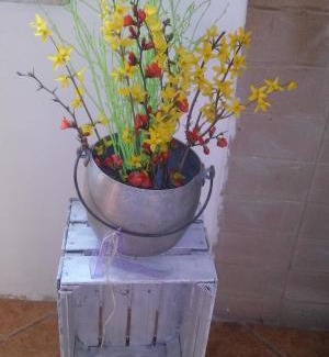 Muggia House | Agriturismo Bosco Fiorito