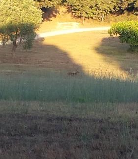 Piombino House | Agriturismo Bronzivalle