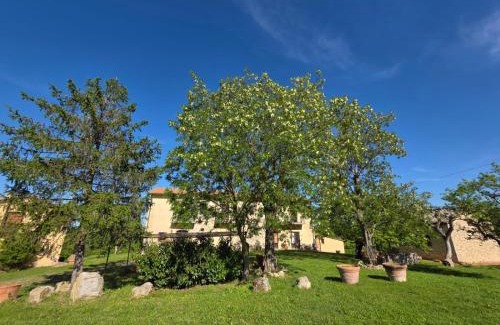 Sarteano Apartment | Agriturismo Collina degli Ulivi