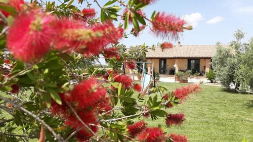 Grosseto House | Agriturismo Corte degli Angeli