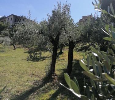Guzman House | Agriturismo Etico Le Grazie