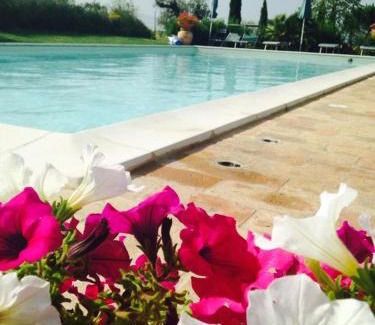 Castiglione del Lago House | Agriturismo I Romiti