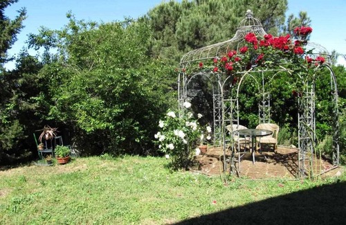 San Giuliano Terme Apartment | Agriturismo La Grotta - Moraiolo Apartment