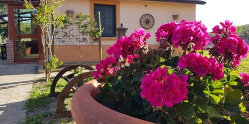 Crotone House | Agriturismo la Mandragola Relais
