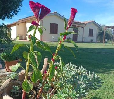 Grosseto House | Agriturismo Le Villette di Cate