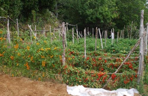 Agerola House | Agriturismo Nonno Tobia