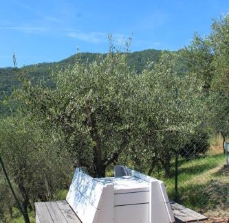Crocetta House | Agriturismo OlivArancio
