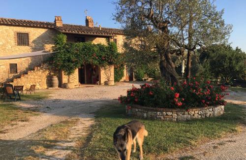 Amelia House | Agriturismo Podere dell' Olmo