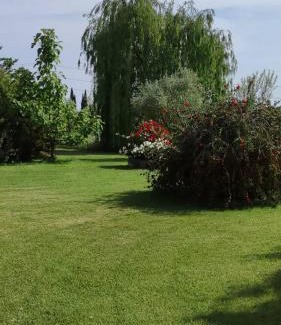 Massa Marittima House | Agriturismo Sant Anna Quarter Horse