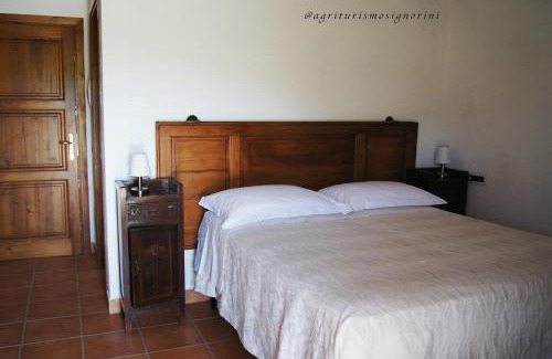 Orciatico House | Agriturismo Signorini