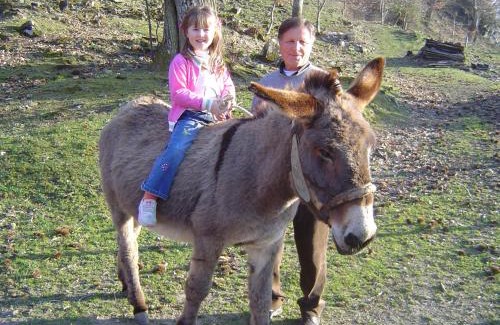 Arcidosso House | Agriturismo Sorripe