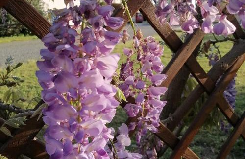Bibbona House | Agriturismo Susanna e Atria