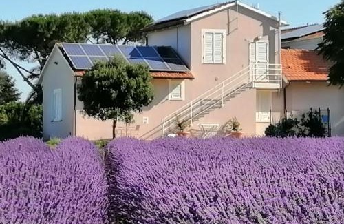 Bibbona House | Agriturismo Susanna e Atria