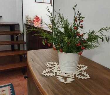 Monteluiano House | Agriturismo Tognoloni