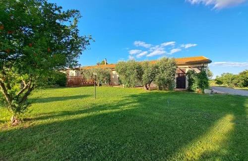 Orbetello Apartment | Agriturismo Tre Cerri di Zanaboni Franca