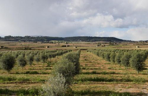 Sant Joan House | Agroturisme Gossalba